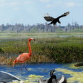wetland-worldday-9